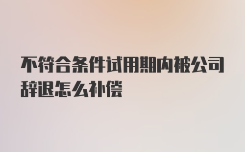 不符合条件试用期内被公司辞退怎么补偿