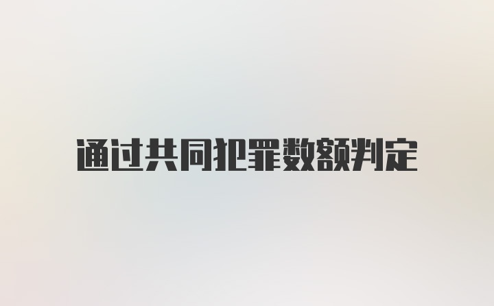 通过共同犯罪数额判定