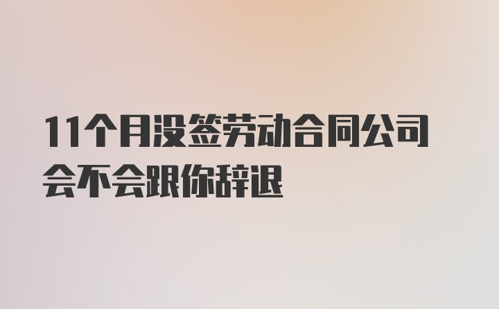 11个月没签劳动合同公司会不会跟你辞退