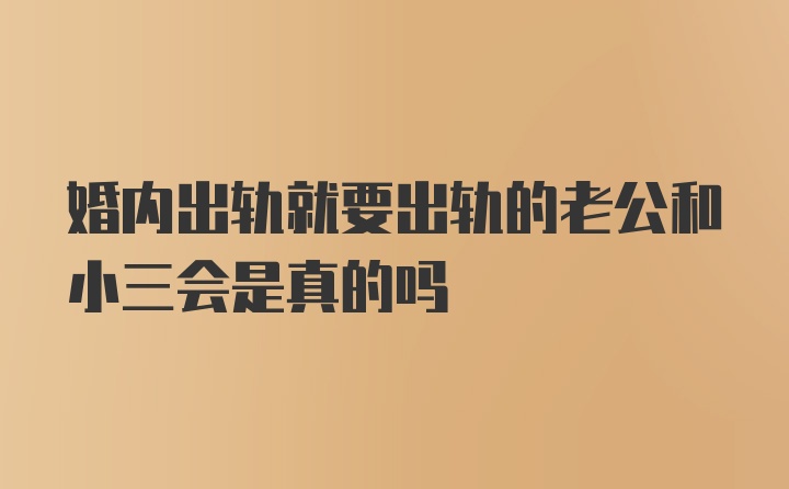 婚内出轨就要出轨的老公和小三会是真的吗