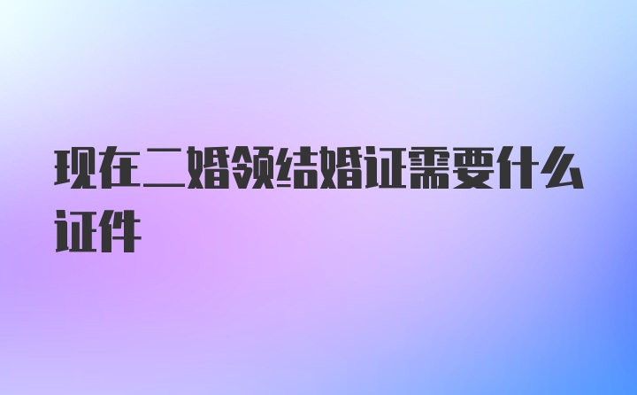 现在二婚领结婚证需要什么证件