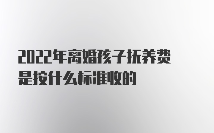 2022年离婚孩子抚养费是按什么标准收的