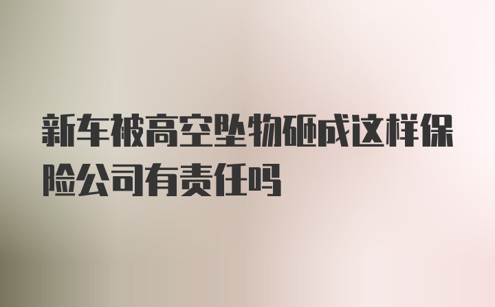 新车被高空坠物砸成这样保险公司有责任吗