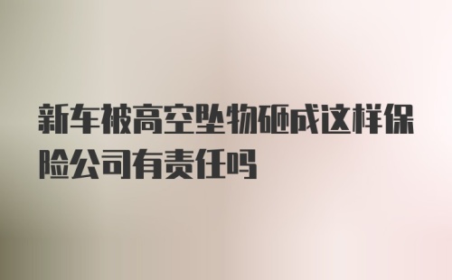 新车被高空坠物砸成这样保险公司有责任吗