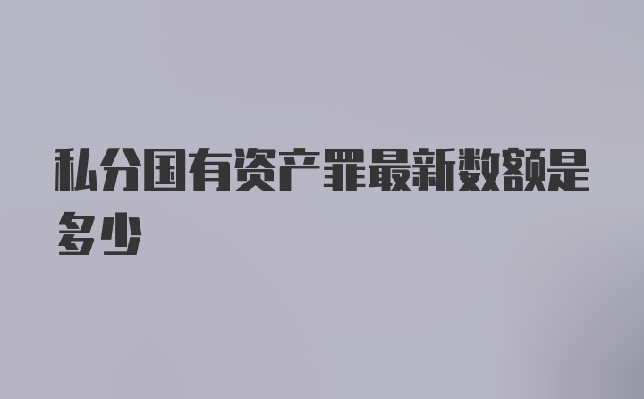 私分国有资产罪最新数额是多少