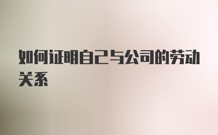 如何证明自己与公司的劳动关系