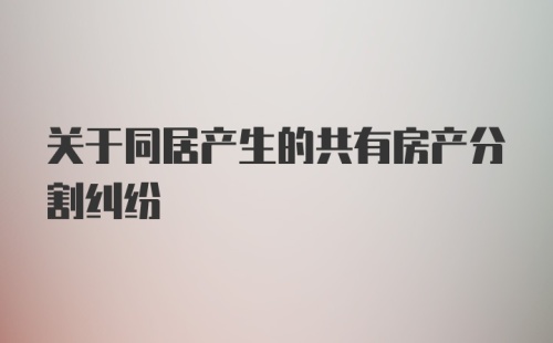 关于同居产生的共有房产分割纠纷