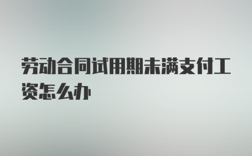 劳动合同试用期未满支付工资怎么办