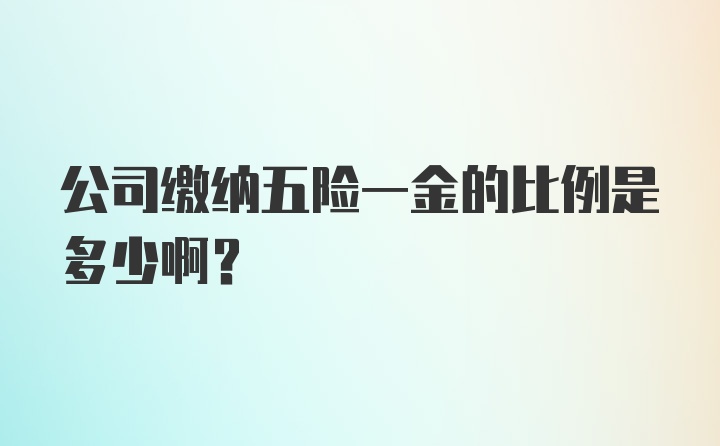 公司缴纳五险一金的比例是多少啊？