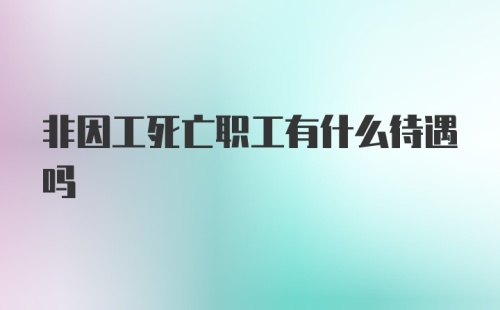 非因工死亡职工有什么待遇吗