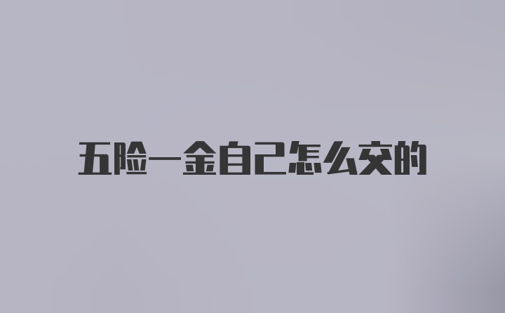 五险一金自己怎么交的