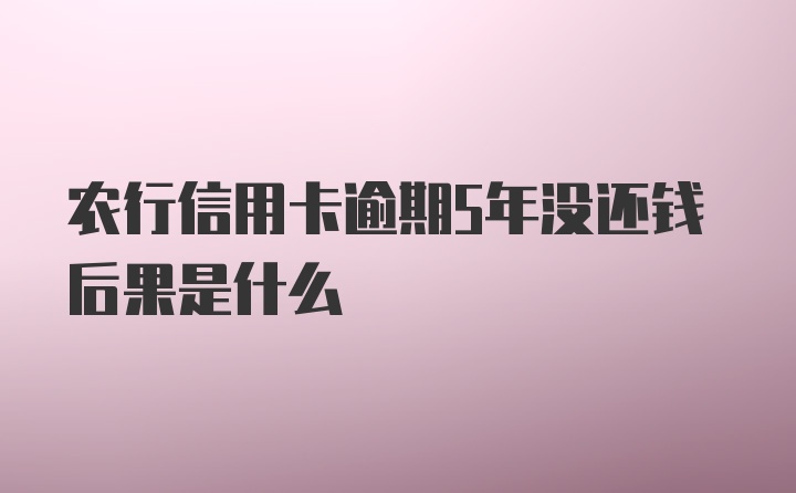 农行信用卡逾期5年没还钱后果是什么