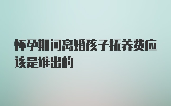 怀孕期间离婚孩子抚养费应该是谁出的