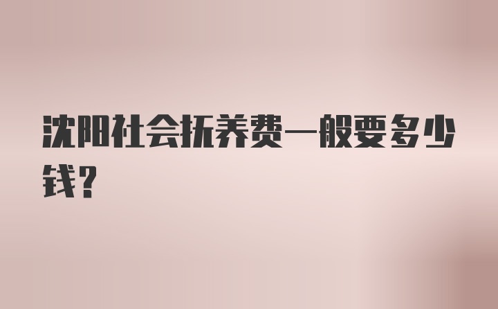 沈阳社会抚养费一般要多少钱？