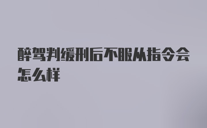 醉驾判缓刑后不服从指令会怎么样