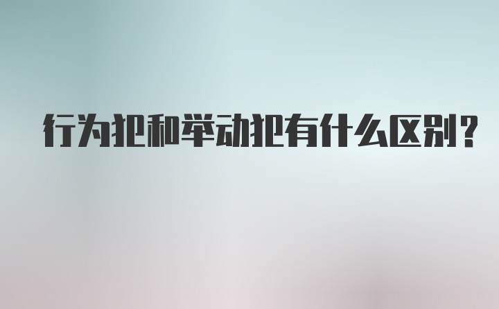 行为犯和举动犯有什么区别？