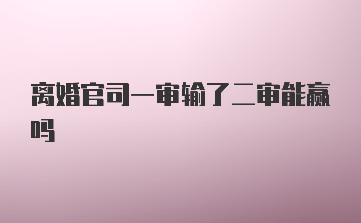 离婚官司一审输了二审能赢吗