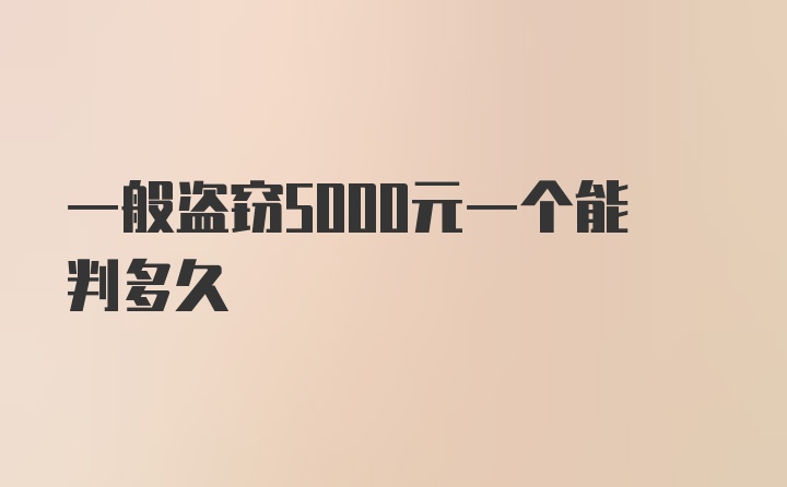 一般盗窃5000元一个能判多久