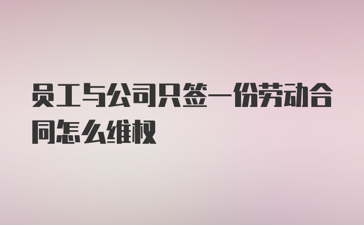 员工与公司只签一份劳动合同怎么维权