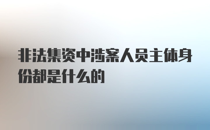 非法集资中涉案人员主体身份都是什么的