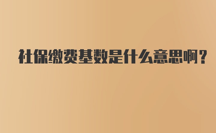 社保缴费基数是什么意思啊？