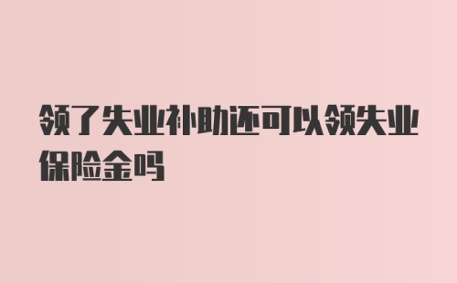 领了失业补助还可以领失业保险金吗