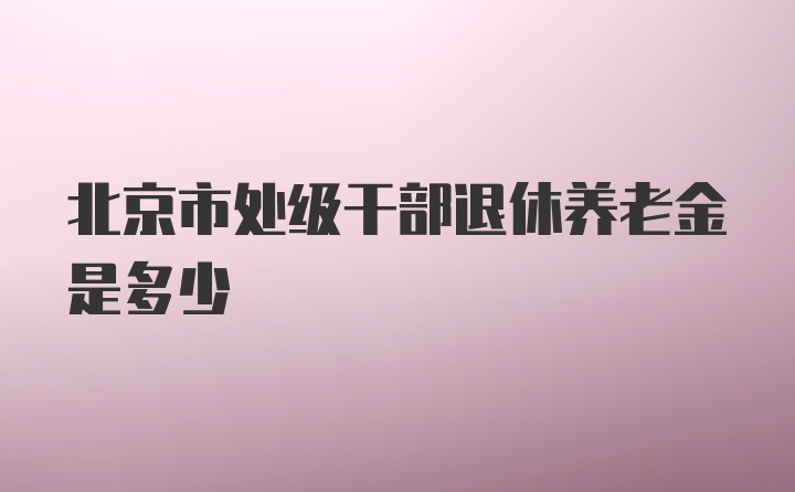 北京市处级干部退休养老金是多少