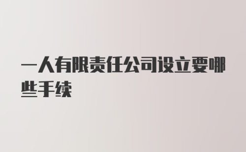 一人有限责任公司设立要哪些手续