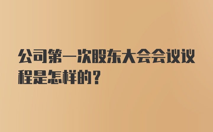 公司第一次股东大会会议议程是怎样的？