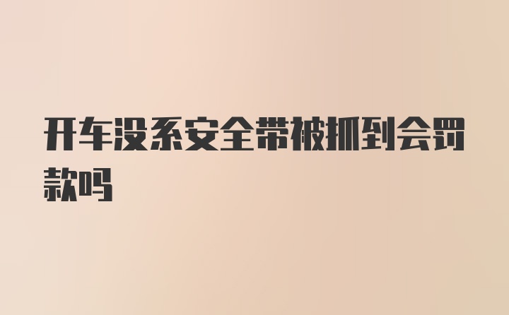 开车没系安全带被抓到会罚款吗