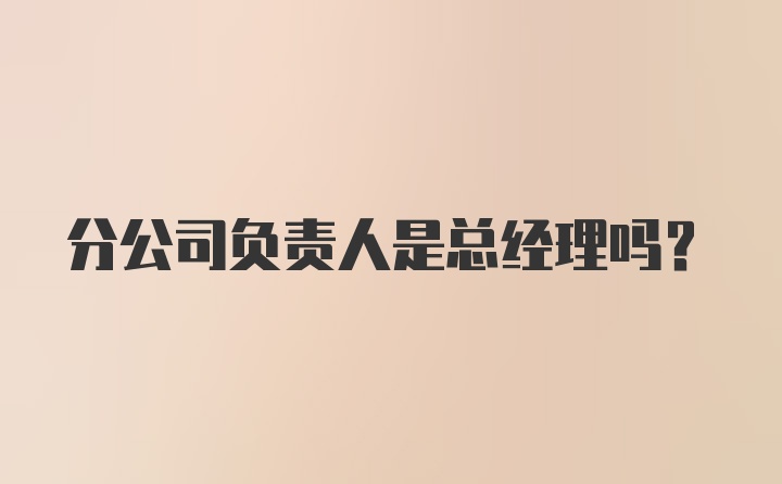 分公司负责人是总经理吗?