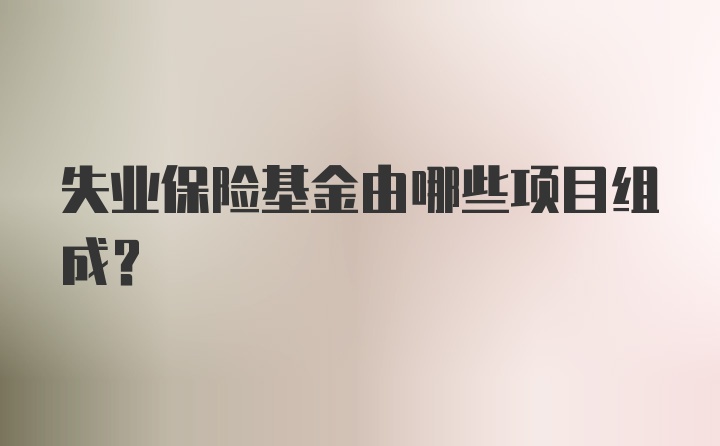 失业保险基金由哪些项目组成？