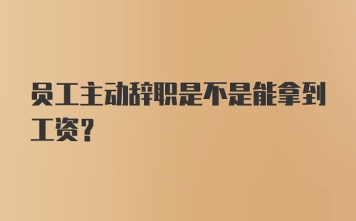 员工主动辞职是不是能拿到工资？