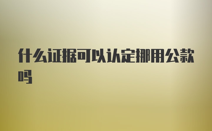 什么证据可以认定挪用公款吗