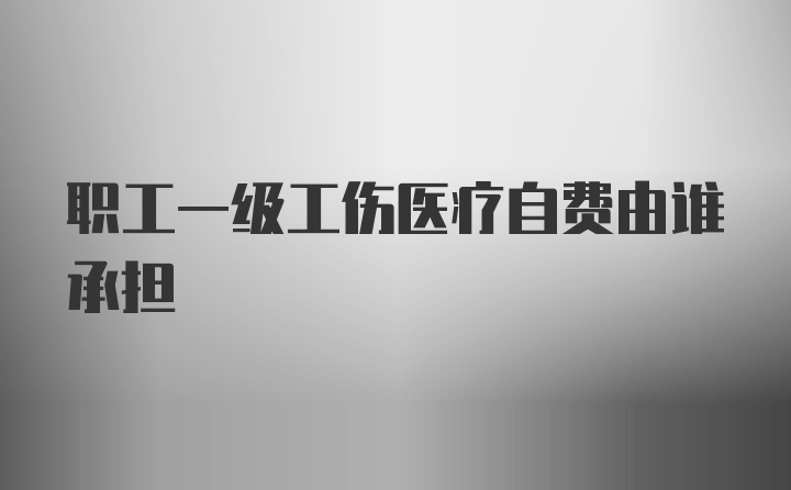 职工一级工伤医疗自费由谁承担