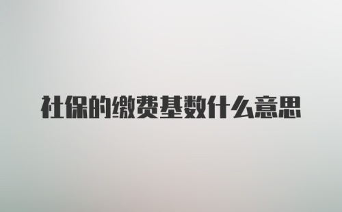 社保的缴费基数什么意思