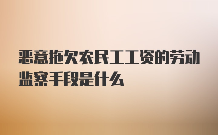 恶意拖欠农民工工资的劳动监察手段是什么