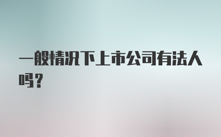 一般情况下上市公司有法人吗？