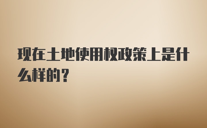 现在土地使用权政策上是什么样的？