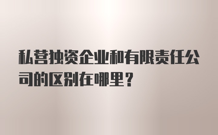 私营独资企业和有限责任公司的区别在哪里？