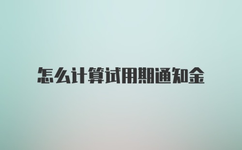 怎么计算试用期通知金