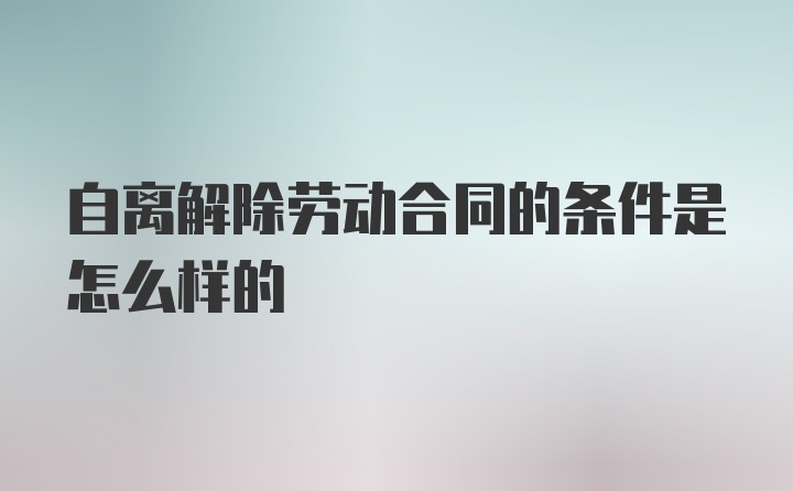 自离解除劳动合同的条件是怎么样的