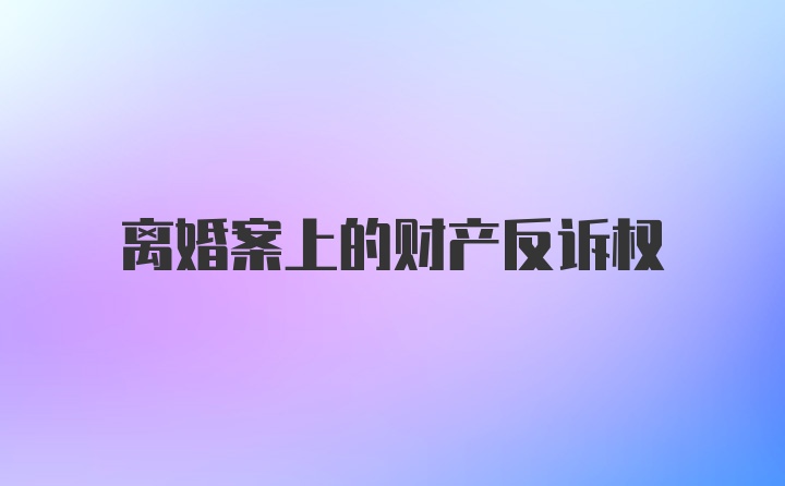 离婚案上的财产反诉权