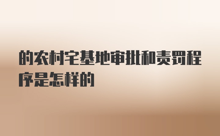 的农村宅基地审批和责罚程序是怎样的