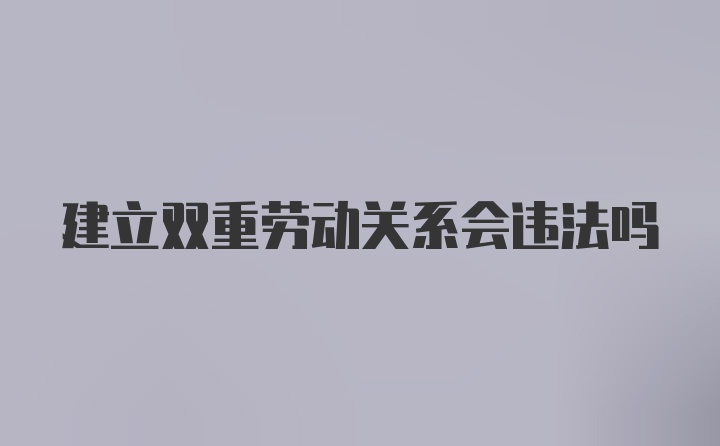 建立双重劳动关系会违法吗