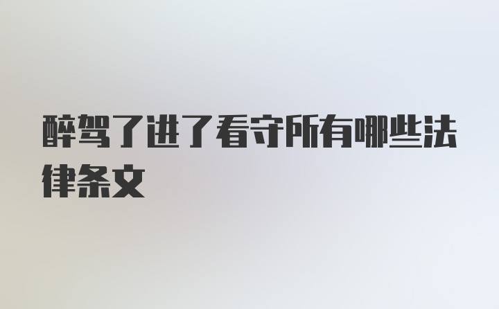 醉驾了进了看守所有哪些法律条文