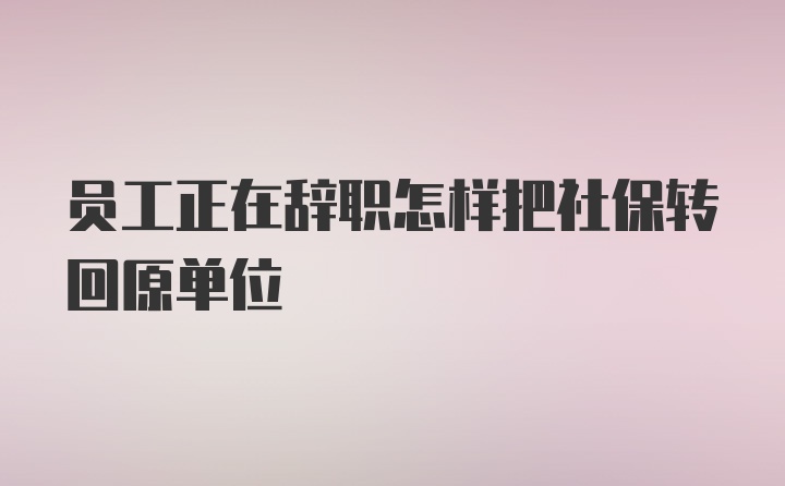 员工正在辞职怎样把社保转回原单位