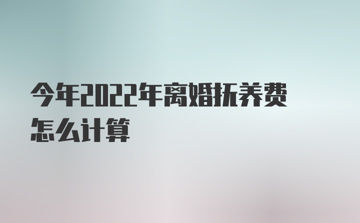 今年2022年离婚抚养费怎么计算