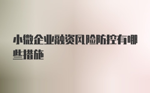 小微企业融资风险防控有哪些措施