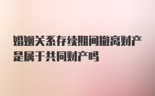 婚姻关系存续期间撤离财产是属于共同财产吗